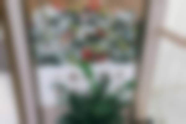 杭州冠扬口腔医院营业时间