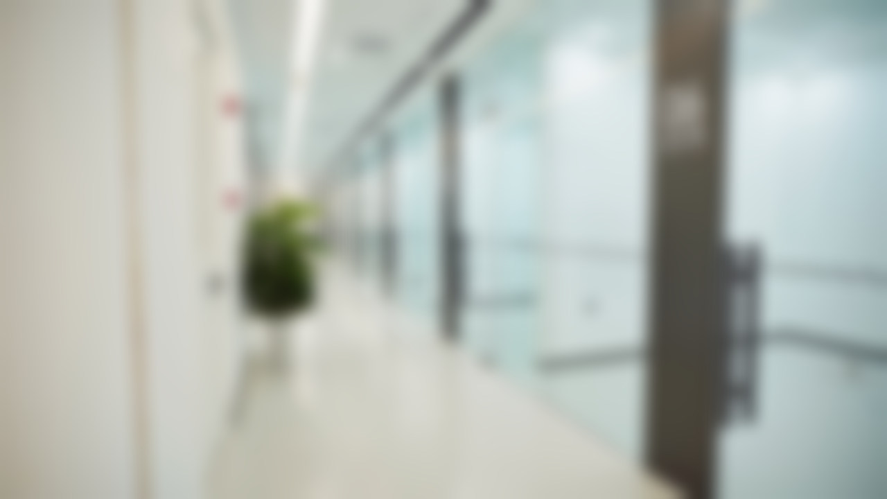 总结与决策建议