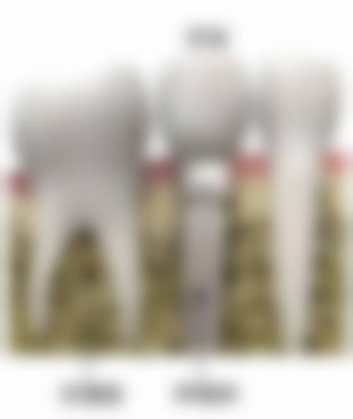 河北沧州爱齿口腔医生名单：专精团队护航