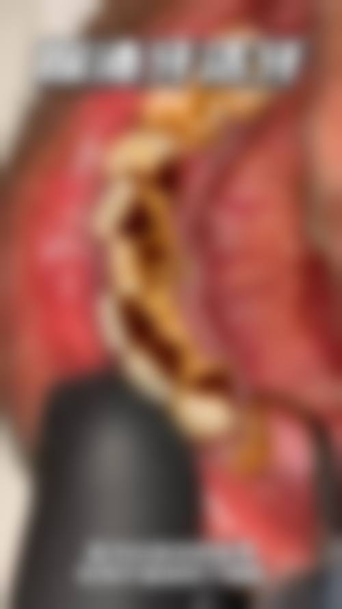 中山洁齿口腔擅长项目：满足多样口腔需求