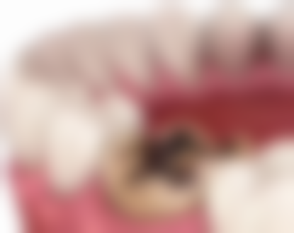 韩国 barog 医院江南店洗牙频率靠谱吗?