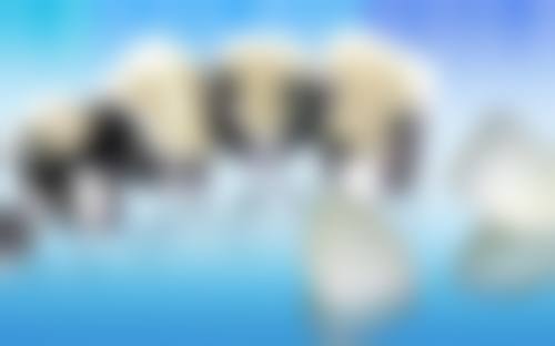 西安蕙美口腔诊所真实实例：见证神奇成效