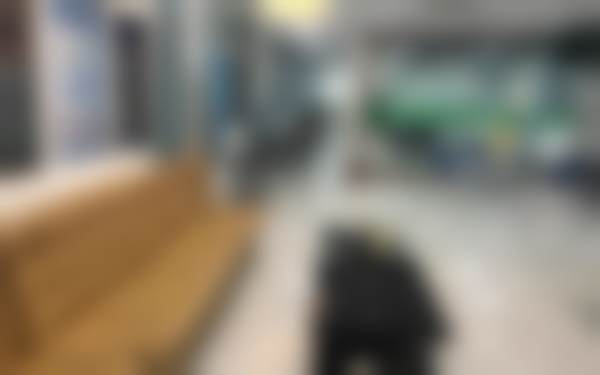 安徽蚌埠爱牙乐口腔门诊部营业时间