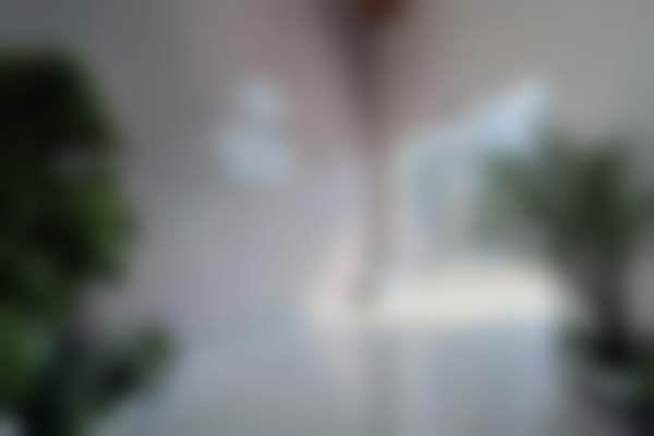 东莞南城贝壳美牙口腔门诊部价格表