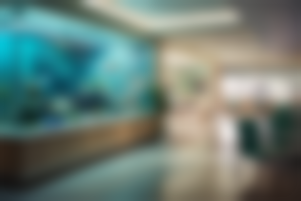 禹州陈氏口腔门诊部