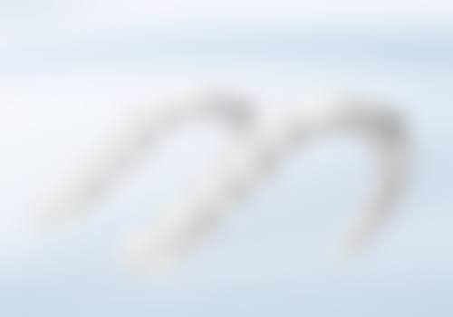 巴彦淖尔市临河区栗彦口腔诊所价格表