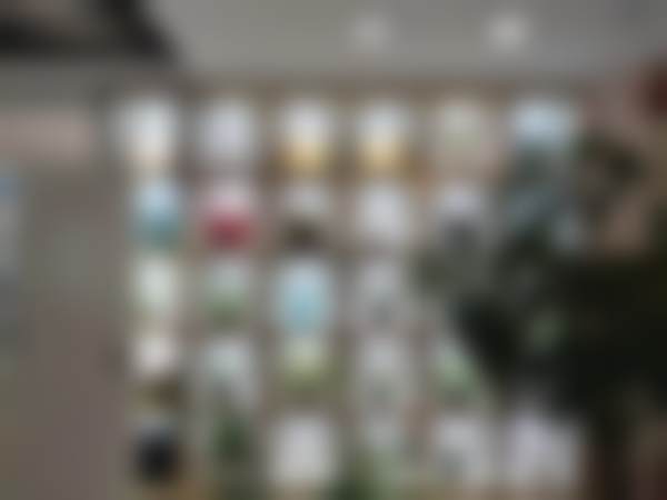 宾夕法尼亚大学深圳迅美口腔诊所擅长项目