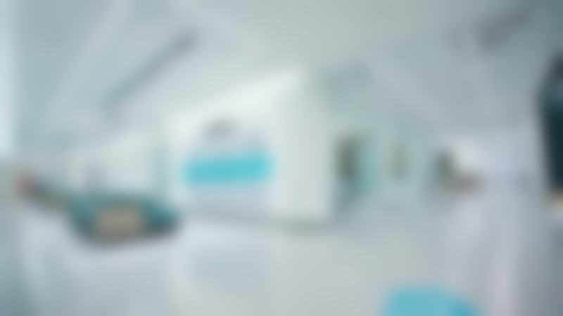 总结与决策建议