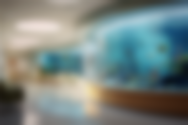 上海泰康拜博松尔口腔