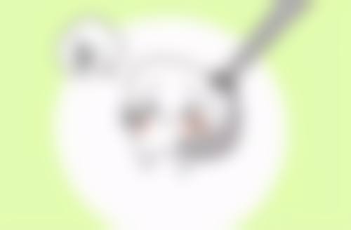 上海泰康拜博爱登口腔价格表