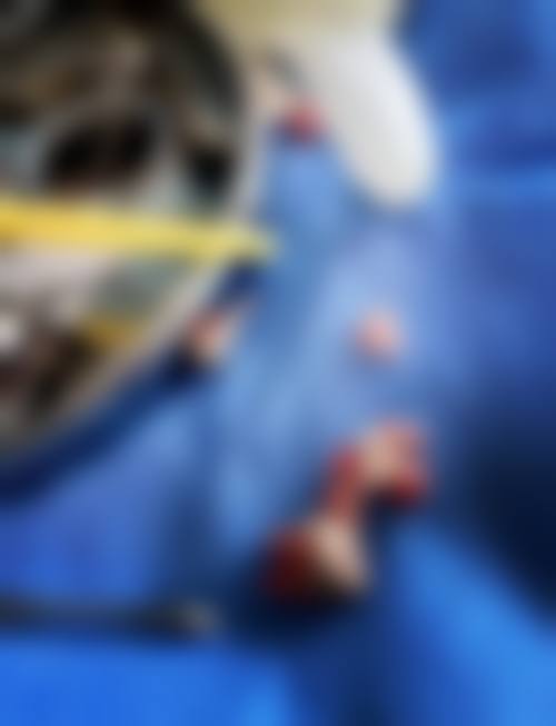 兰州惠安齿科门诊部(定西路店)执业信息