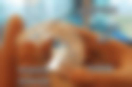 丽江古城博哲口腔门诊部执业信息