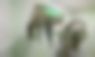 日照东港福平口腔门诊部执业信息