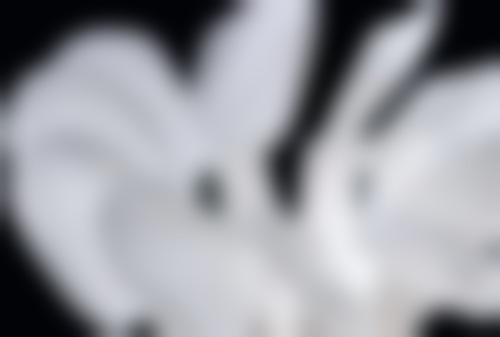 景先平医生看诊优势:贴心关怀全程陪伴