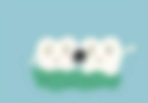 郎雨萍医生的荣誉资质