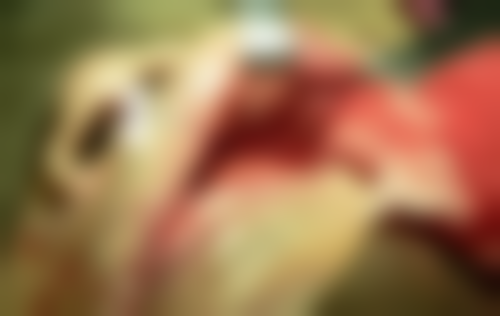 山东菏泽欧诺口腔门诊部执业信息