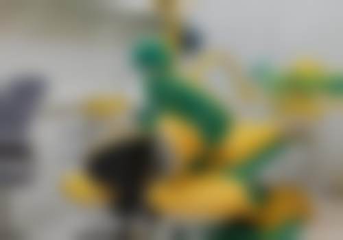 吕兰婷医生的荣誉资质超耀眼