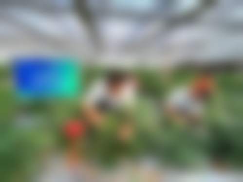 深圳御齿口腔门诊部口碑怎么样