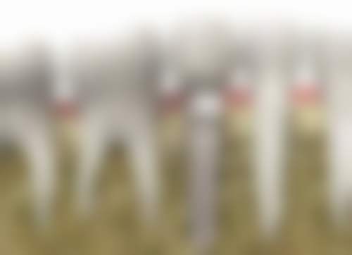 深圳御齿口腔门诊部真实实例