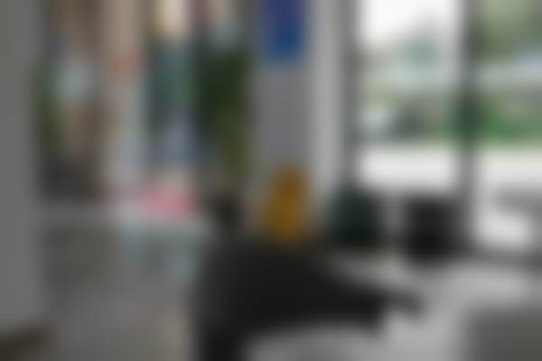 王彩荣医生擅长项目：种植与美学的理想结合