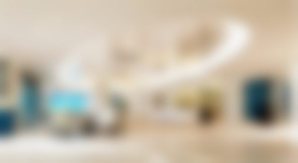 陈依静医师的荣誉资质