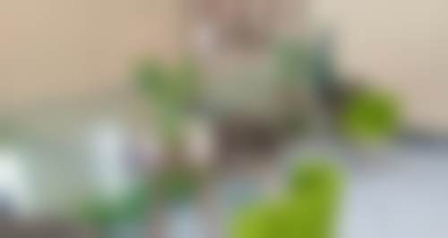 李炎潞医生擅长项目