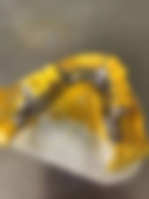 菏泽张丰口腔诊所执业信息