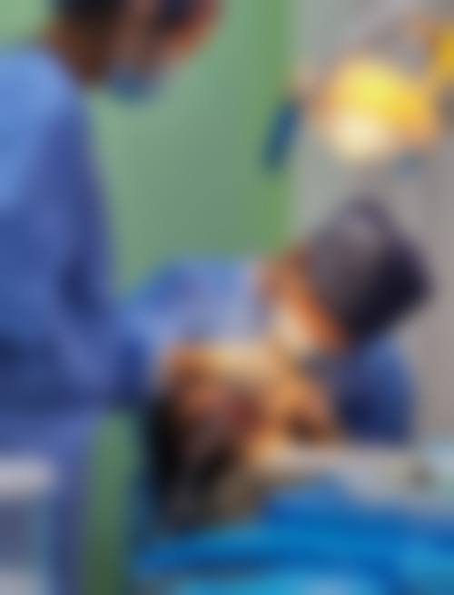 杭州杭承口腔门诊真实实例