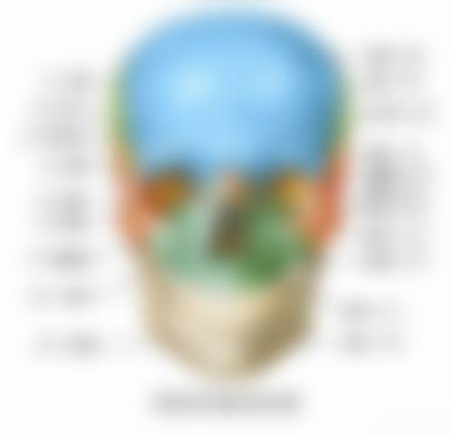 湖南长沙优仕口腔医院真实实例