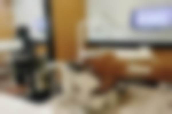 乌鲁木齐优佳贝口腔晓黎口腔诊所口碑怎么样
