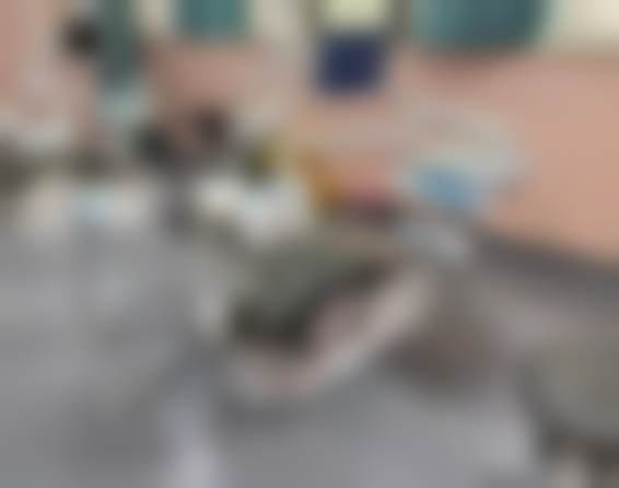 周先略医生技术特点