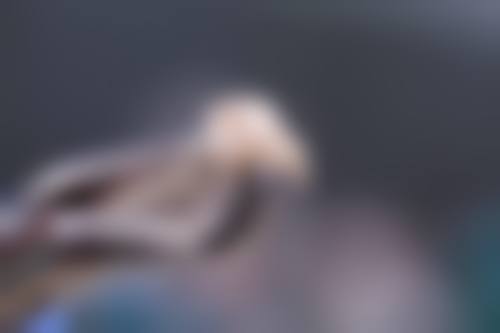 雅安茁瑞口腔诊所仪器设备