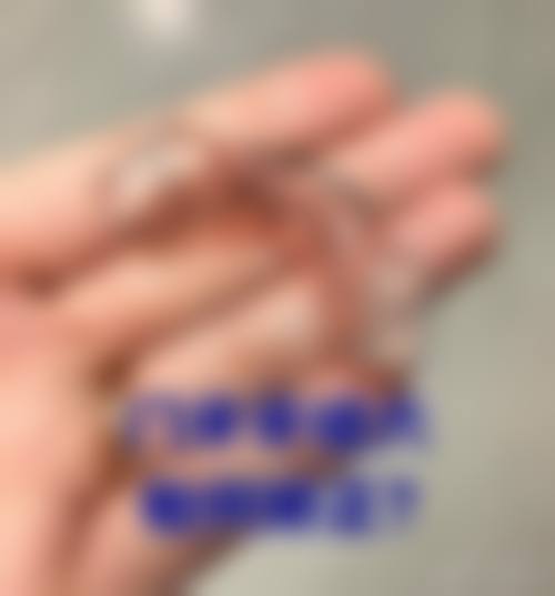 刘树发擅长的核心技术与特色项目详解