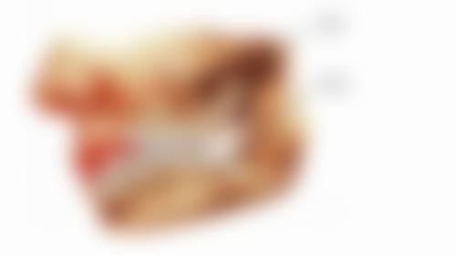 总结:为何选择陈旭?