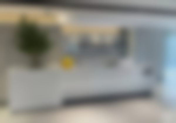 莫志伟:核心技术优势与擅长项目全揭秘