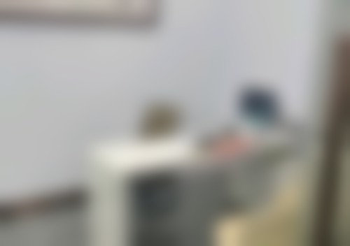 总结与建议